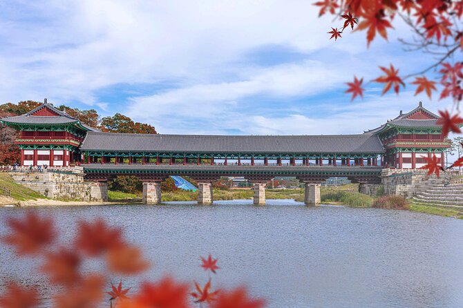 Gyeongju One-Day Tour from Daegu(Drop-off Busan) - Donggung Palace and Wolji Pond after dark