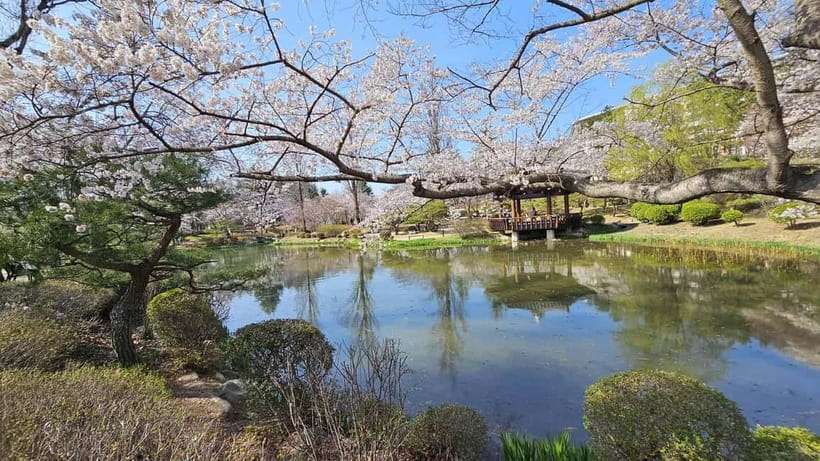 Gyeongju: Private Car Charter Taxi Tour - Donggung and Wolji after dark