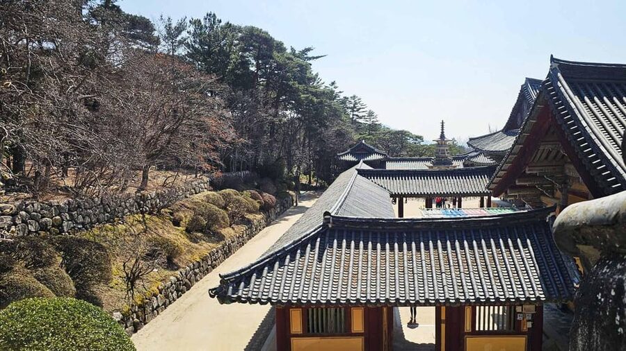 Gyeongju: Private Car Charter Taxi Tour - What the cars are like for groups and luggage