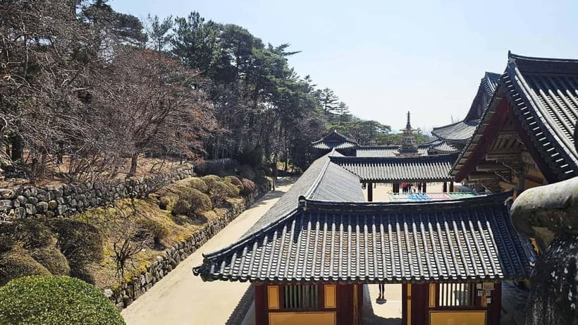 Gyeongju: Private Car Charter Taxi Tour - The human side of the service