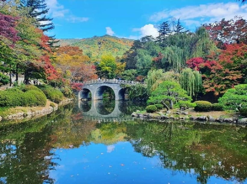 Gyeongju: Private Car Tour with a Licensed Tour Guide - Five things to know before booking