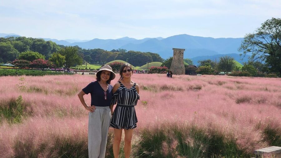 Gyeongju: Private Car Tour with a Licensed Tour Guide - Cheomseongdae and Silla science in thirty minutes
