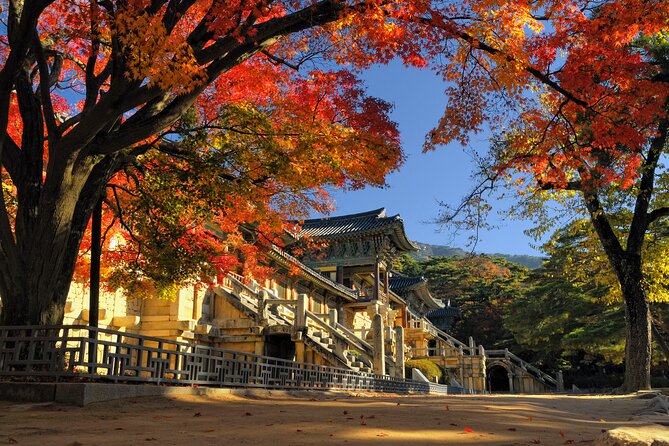 Gyeongju UNESCO sites Private tour with licensed tour guide - Daereungwon and the royal tombs of Silla