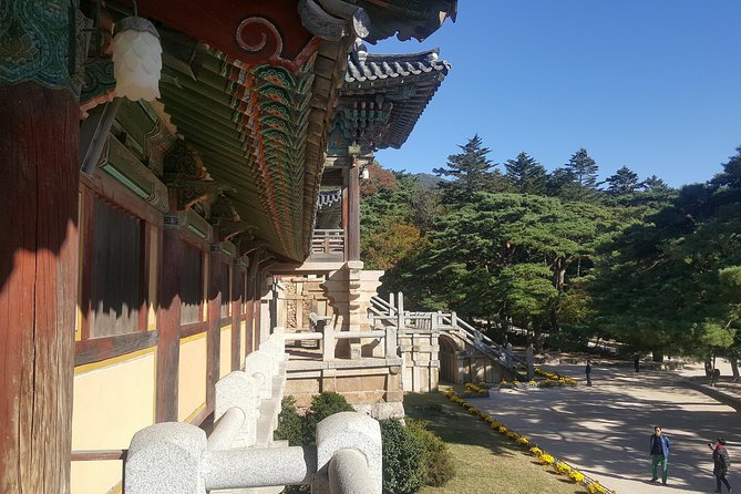 Gyeongju UNESCO Sites Tour by KTX train; The Museum Without walls - Gyeongju National Museum: the day’s essential indoor stop