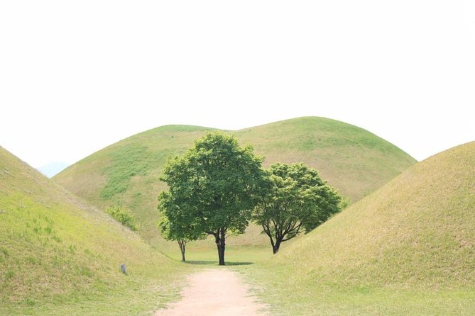 Gyeongju UNESCO World heritage tour including Bulguksa from Seoul by KTX train - Cheomseongdae and the science of Silla