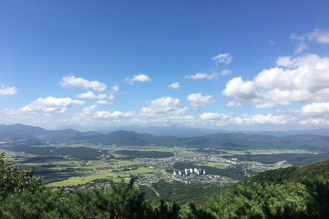 Gyeongju UNESCO World heritage tour including Bulguksa from Seoul by KTX train - Gyochon Village and later Korean traditions