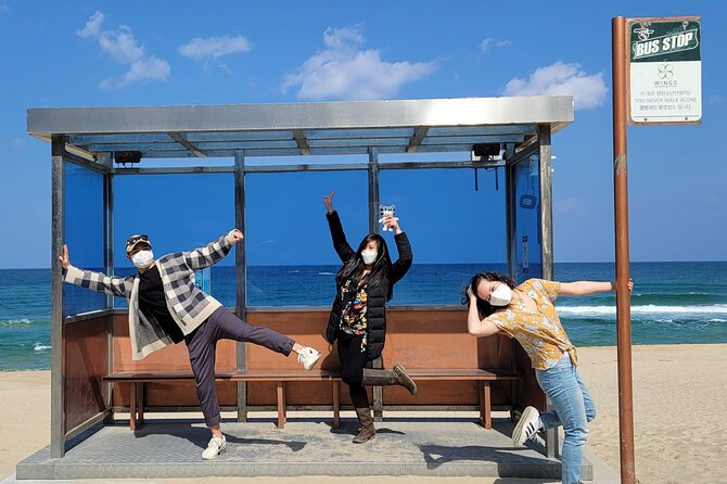 Half-Day Self-Guided Tour of Gangneung with Driver - Key points at a glance