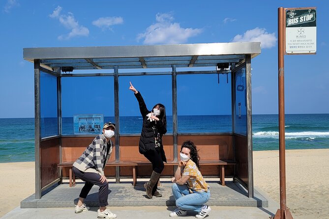 Half-Day Self-Guided Tour of Gangneung with Driver - The K-pop bus stop at Hyangho Beach