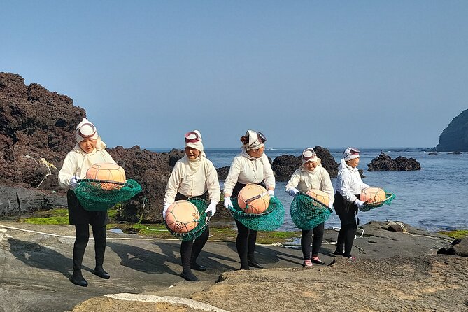 Half or Day Tour For Cruise customers arriving at Gangjeong Port - Key Points Before You Book
