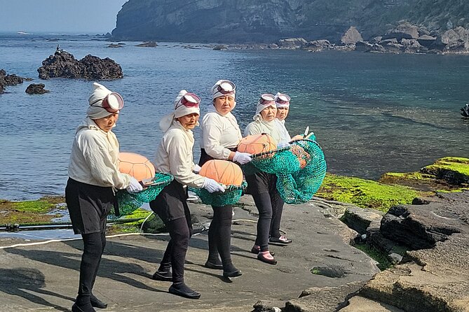 Half or Day Tour For Cruise customers arriving at Gangjeong Port - Seongeup Folk Village: Traditional Houses and Island Memory