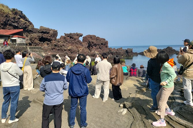 Half or Day Tour For Cruise customers arriving at Gangjeong Port - Jeju Stone Park: Island Culture in Stone