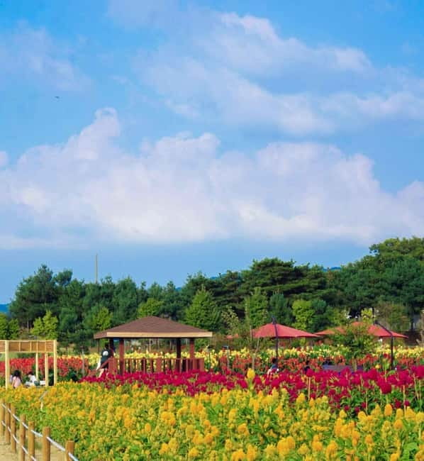 Hantan Canyon & Goseokjeong Flower Garden & Pink Muhly Park - Key points to know before booking