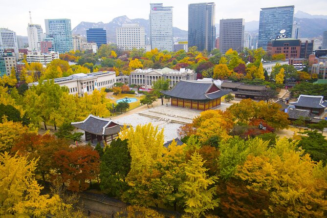 Highlights of Seoul Tour in Seoul: Deoksugung & N Seoul Tower - A 30-minute look at Korean ginseng