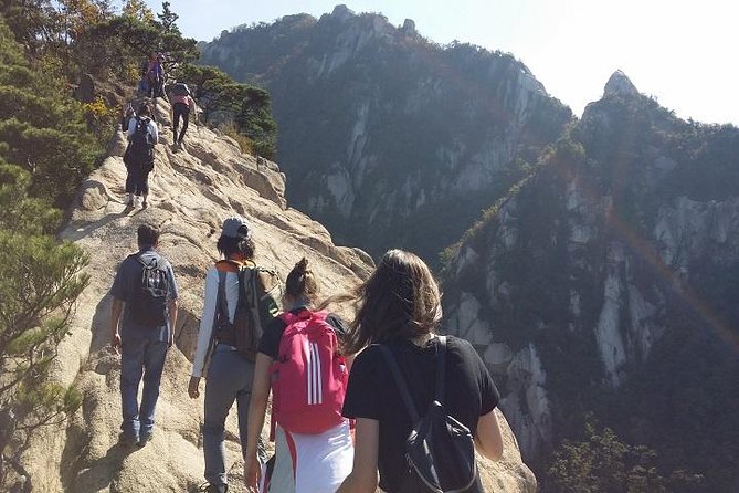 Hike at Mt. Bukhansan National Park with professional Guide(including Lunch) - Hotel Pickup and a Private Start at 9:00 a.m.