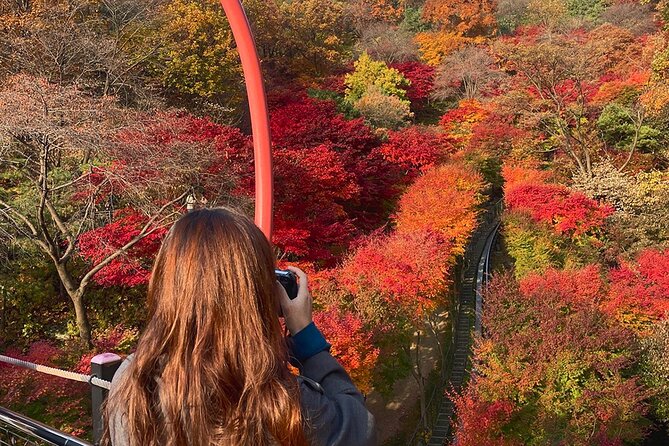 Hwadam Botanic Garden and Namhansanseong and Folk Village Trip - Why this Seoul day trip works