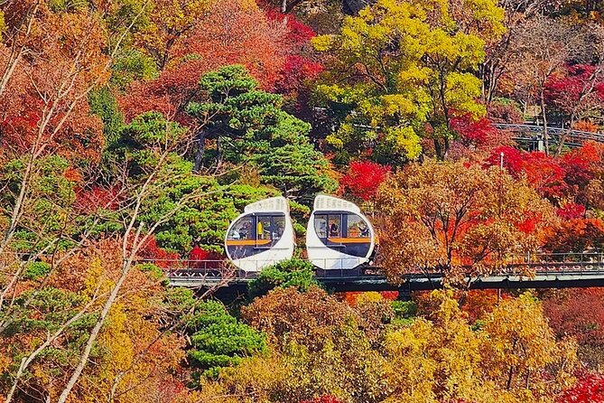 Hwadam Botanic Garden and Namhansanseong and Folk Village Trip - Hwadam Botanic Garden: two hours among 4,000 plant species