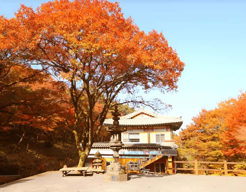 Jeju: 2026 Autumn Tour with Pink Muhly Festival Hotel Pickup - Transport, guides, and the value of a small-group day