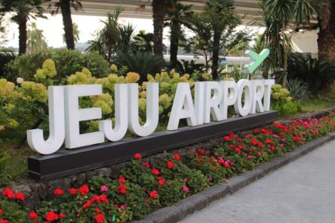Jeju Airport Transfer - Booking details that affect your ride