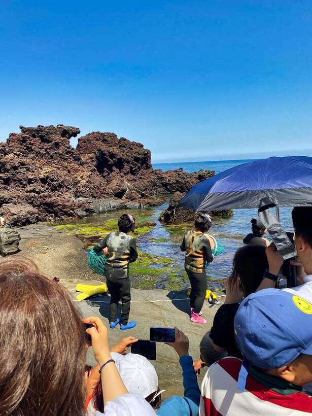 Jeju: All Inclusive Private East Jeju Tour w/ Taekwondo Show - Seongeup Folk Village and Jeju’s Rural Character