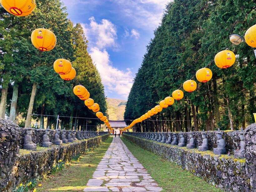 Jeju: All Inclusive Private East Jeju Tour w/ Taekwondo Show - Haenyeo Culture, With a Museum Backup