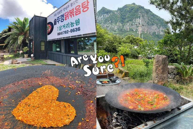 Jeju: BTS Are You Sure?! Filming Locations Private Taxi Tour - Why a private BTS tour works well on Jeju