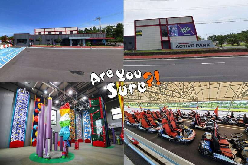 Jeju: BTS Are You Sure?! Filming Locations Private Taxi Tour - The human side: how much the driver can add