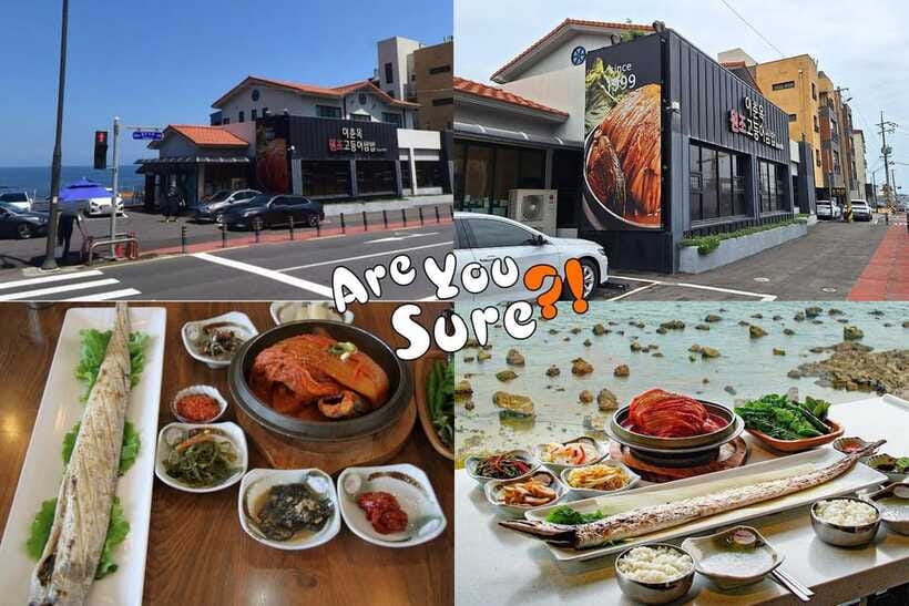 Jeju: BTS Are You Sure?! Filming Locations Private Taxi Tour - Who should book this Jeju experience?