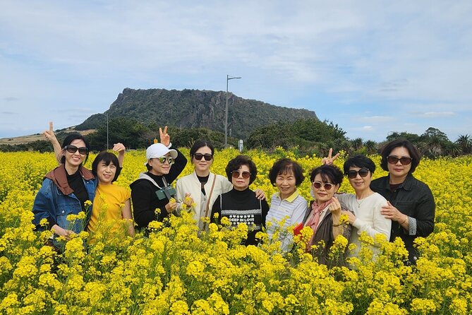Jeju bus tour with professional English guide for cruise customer - Group size, guiding, and the cruise-day clock