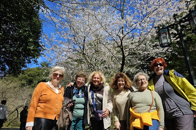 Jeju bus tour with professional English guide for cruise customer - The main strengths and drawbacks