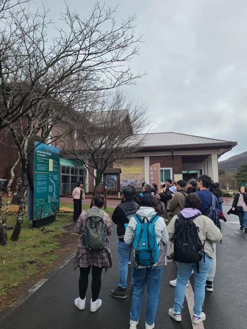 Jeju: Cherry Blossom South & West Day Tour with Hotel Pickup - Camellia Hill Offers Flowers Beyond Cherry Season