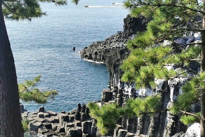 Jeju Cruise Ship gangjung Port PRIVATE tour for all group sizes - Jeongbang Waterfall drops into the sea