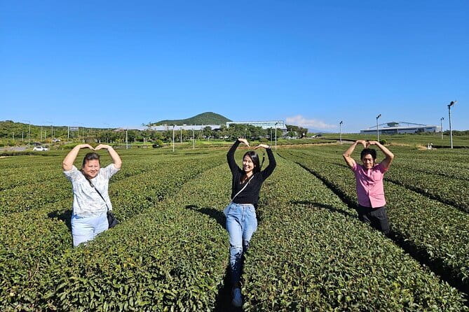 Jeju Customize Private VAN Tour of East or West or South (~8pax) - Eoseungsaengak offers a manageable Hallasan walk