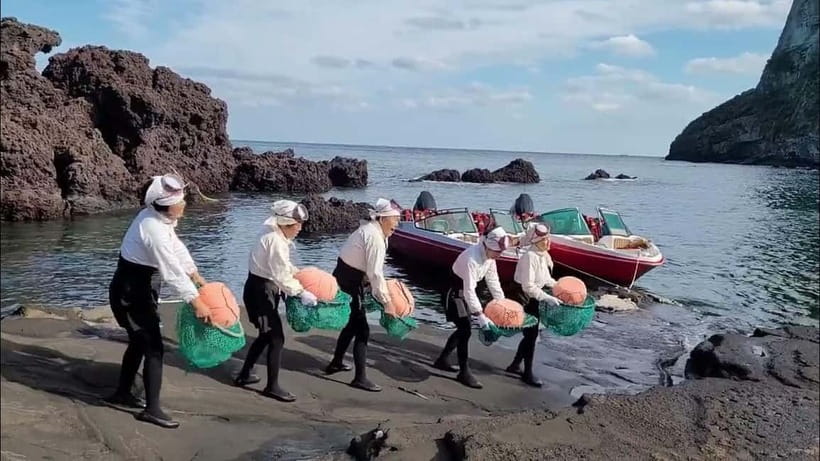 Jeju: Customized Private Vehicle Day Tour - The western route for beaches, gardens, and family stops