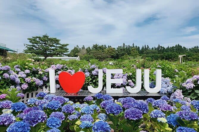 Jeju Day Tour for Cruise Guests - Seogwipo Maeil Olle Market for Food and Souvenirs