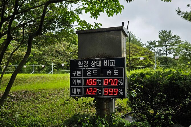 Jeju Day Tour - World Heritage & UNESCO - Oedolgae and Seogwipo’s coastal beginning
