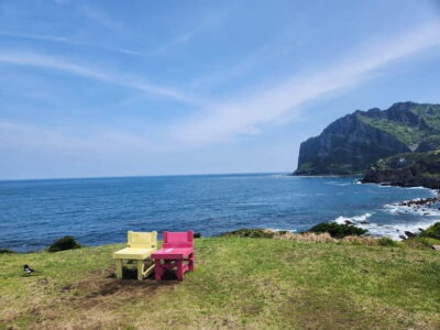 Jeju East: Cherry Blossom Early Bird Tour with Hotel Pickup