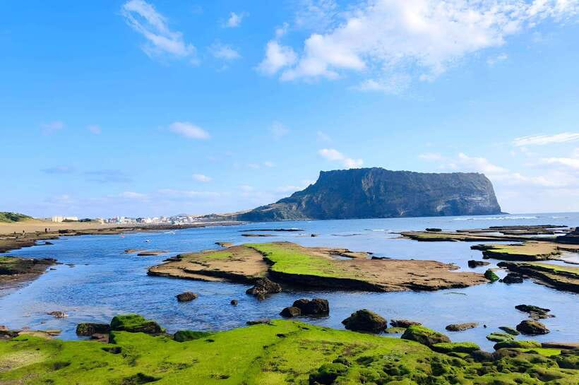 Jeju East: K-Drama Filming Spots Tour with Hotel Pickup - Key points at a glance