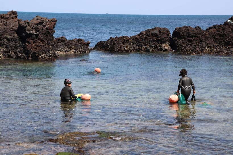 Jeju: East of Jeju Island Bus Tour from Seogwipo City - What to pack and who should skip it