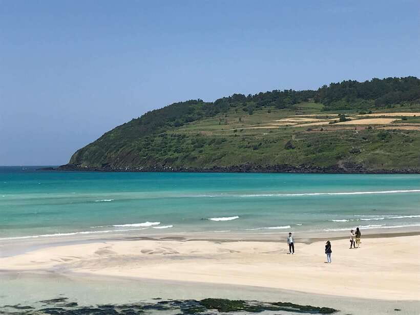 Jeju: East of Jeju Island Bus Tour from Seogwipo City - The haenyeo story continues at Jongdal-ri and the museum