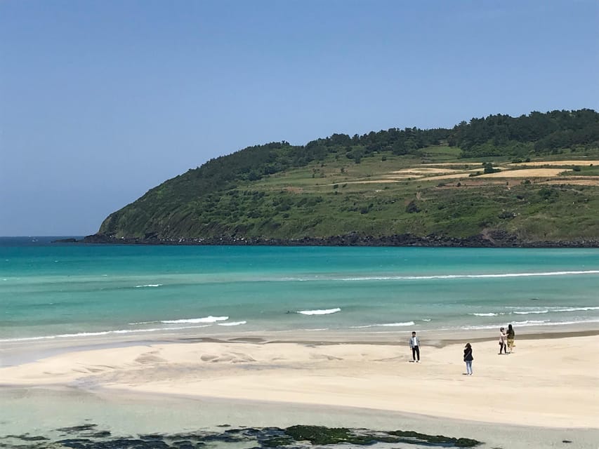 Jeju: East of Jeju Island Bus Tour from Seogwipo City - Manjanggul Cave is the key scheduling question