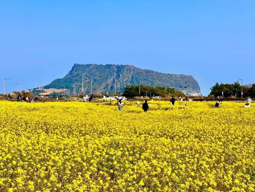 Jeju East: Small Group Healing Tour w/Woman Divers Show - Hamdeok Beach starts the morning gently