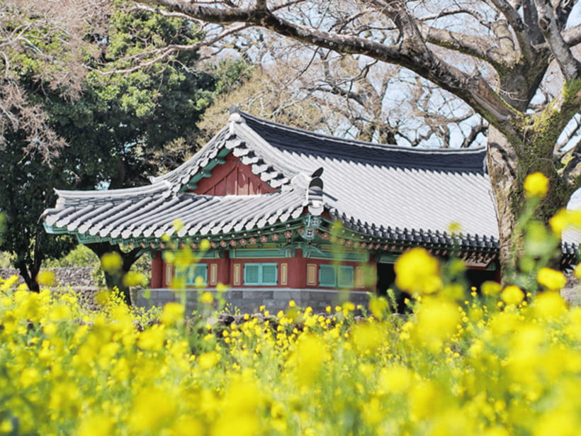 Jeju: Eastern Jeju UNESCO Spots Day Tour - Meeting Jeju’s Haenyeo at the museum