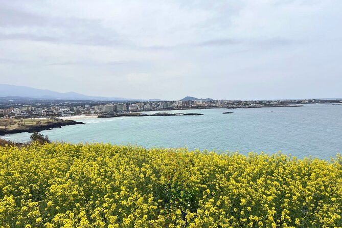 Jeju Eastern Must visit Unesco Spots Join In Tour - Seongsan Ilchulbong is the main natural landmark