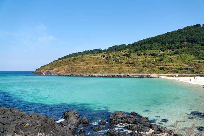 Jeju Eastern Must visit Unesco Spots Join In Tour - Dongmun Traditional Market gives you an optional ending