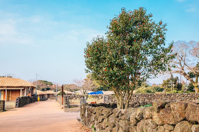Jeju Eastern Must visit Unesco Spots Join In Tour - The guide can make or break a packed schedule