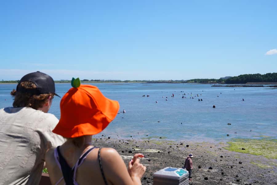 Jeju: Eastern UNESCO Join in Tour (Seongsan, Haenyeo) - Four morning pickup points around Jeju City