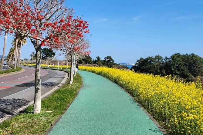 Jeju English Private Taxi Tour(1day, 2days, 3days & 1 to 12pax) - What the eight to nine-hour day feels like