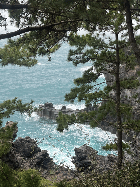 Jeju: Highlight Customized Private tour with Expert Guide - Why a custom Jeju day can work so well