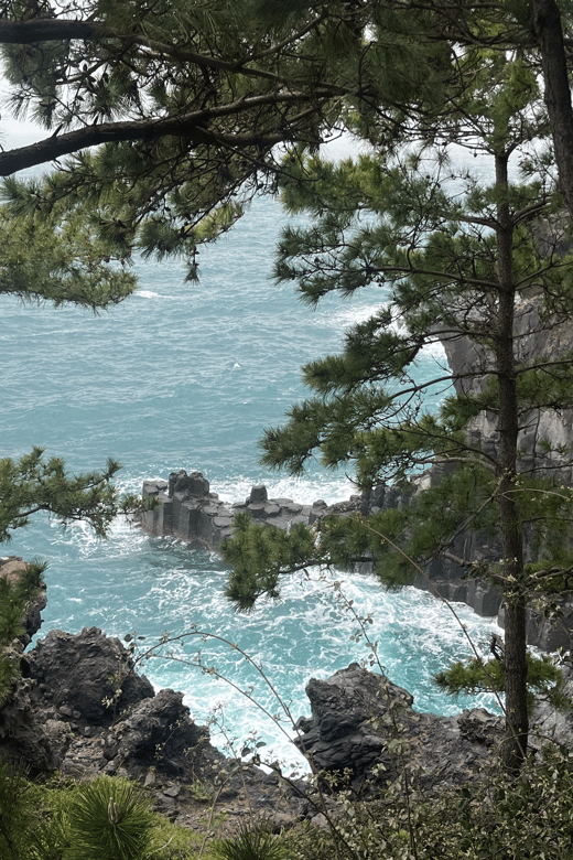 Jeju: Highlight Customized Private tour with Expert Guide - Is $400 per person a fair price?