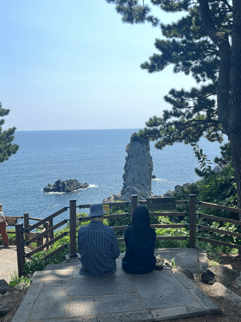 Jeju: Highlight Customized Private tour with Expert Guide - Start at your hotel around 9 AM